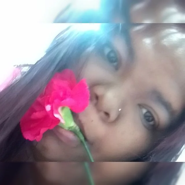 Melis3
