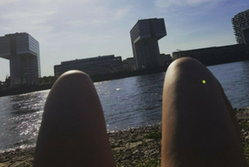 Galerie Bild