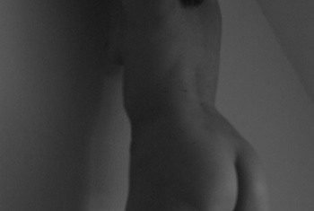 Galerie Bild