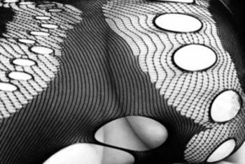 Galerie Bild