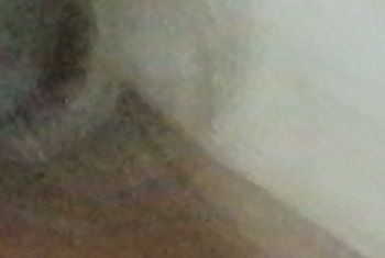 Galerie Bild