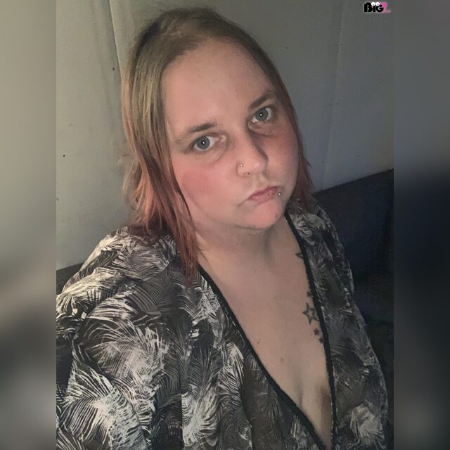 Falbkatze18