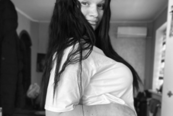 Galerie Bild