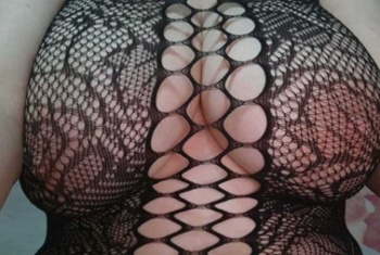 Galerie Bild