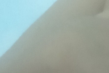 Galerie Bild
