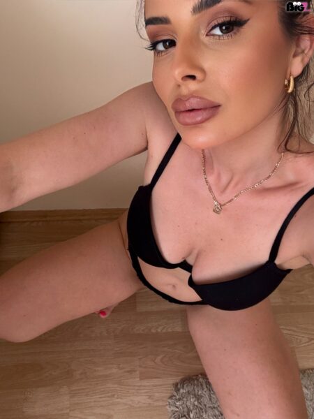 SandyFox