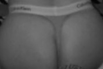 Galerie Bild