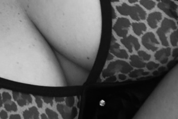 Galerie Bild