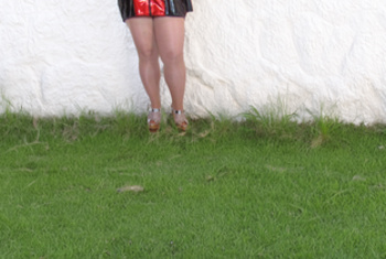 Galerie Bild